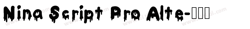 Nina Script Pro Alte字体转换